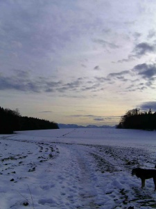 Winter