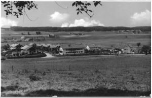 GO210-08 Siedlg v Waldrand (Large)