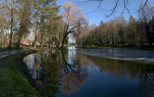 uZi52-38 Zinn Weiher 2018 kl (Large)