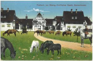 uZi70-03 Sonnenhsn Variante (Large)