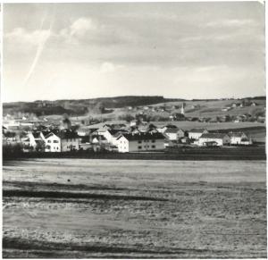 Gl180-08 v ZinnStr (Large)