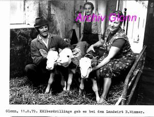 Fotochronik-1979 Kaelberdrillinge-bei-Wimmer