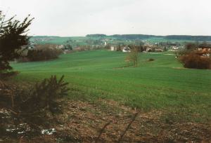 Gl310-08-v-Strass-1995-k