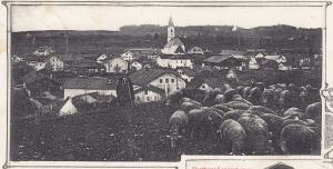 Gl325-12-v-Bern-Feld-k