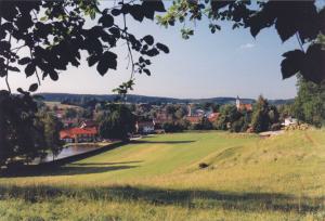 Gl520-16-v-FeldkStrWaldrd-1995-k