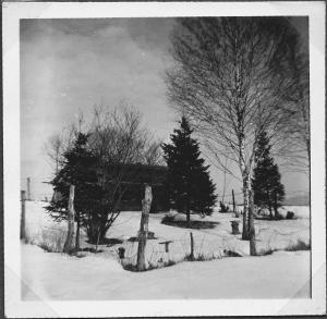 GM252-04-damals-Bienenhaus-1960-k