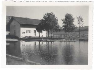 GS646-04-Schwimmbd-Wiesm-k