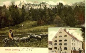 uZi00-16-Zinn-v-Gl-u-Schafe-1905-k