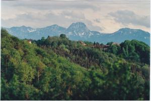 uZi62-08-Zinn-v-Doblbg-Berge-1999-k