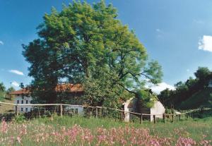 GW552-12-Steinmuehle-1999-k