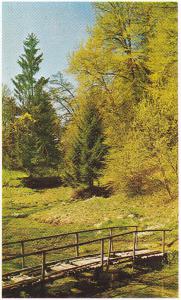 GW572-12-Quellengebiet-k