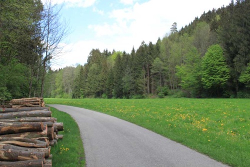 Reisenthal - Glonn-s 