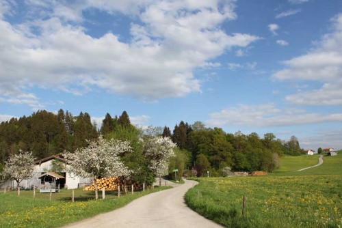 Reisenthal Frühling 2-s 