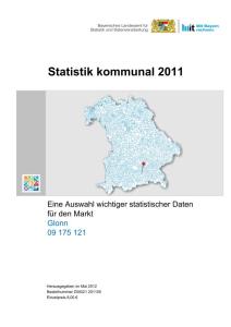 Statistik-kommunal-2011-titel