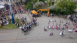 Maibaum 2018 Oswald (1) (Large)