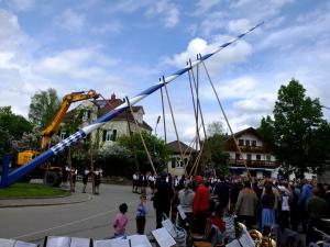Maibaum Glonn 2018 (1) (Large)