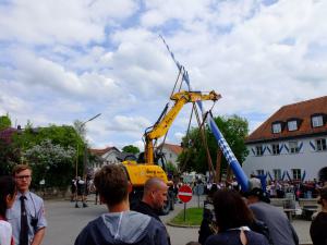 Maibaum Glonn 2018 (11) (Large)