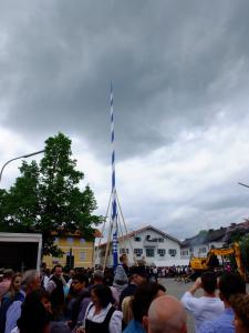 Maibaum Glonn 2018 (27) (Large)