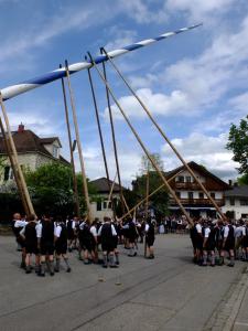 Maibaum Glonn 2018 (6) (Large)