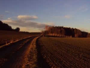 Von Haslach nach Wetterling 1       