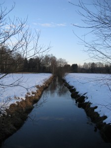 Brucker Moor 3       